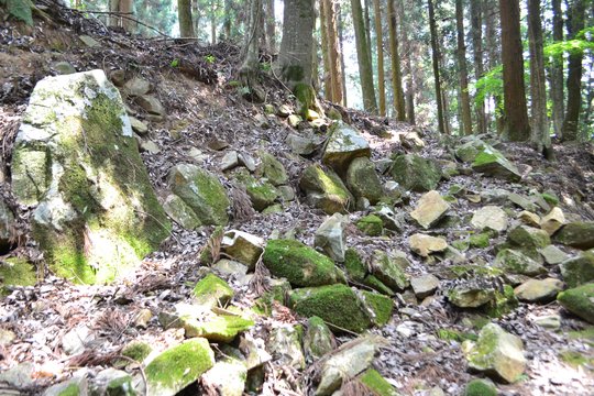 郡山石垣写真