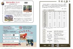  11月号_P12-13_市政の動き、私のお気に入り、インスタ