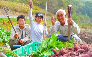 旬野菜セット